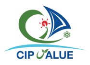cip value logo